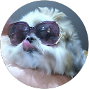 หมาน้อย ตระกูลปอ profile picture